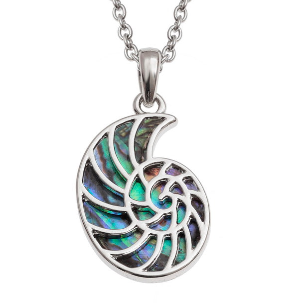 Paua Shell Ammonite Necklace