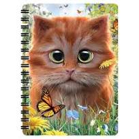 3D Jotter - Ginger Kitten