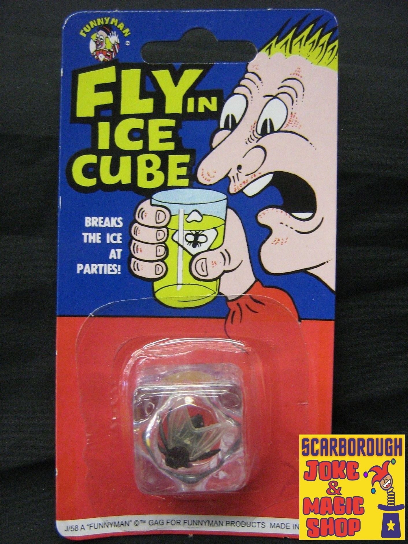 Fly in Ice cube