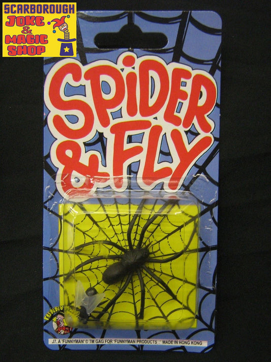 Spider & Fly