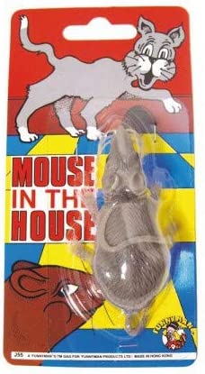 Mouse In The House